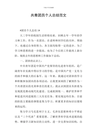 共青团员个人总结范文