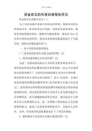 资金收支的年度自查报告范文