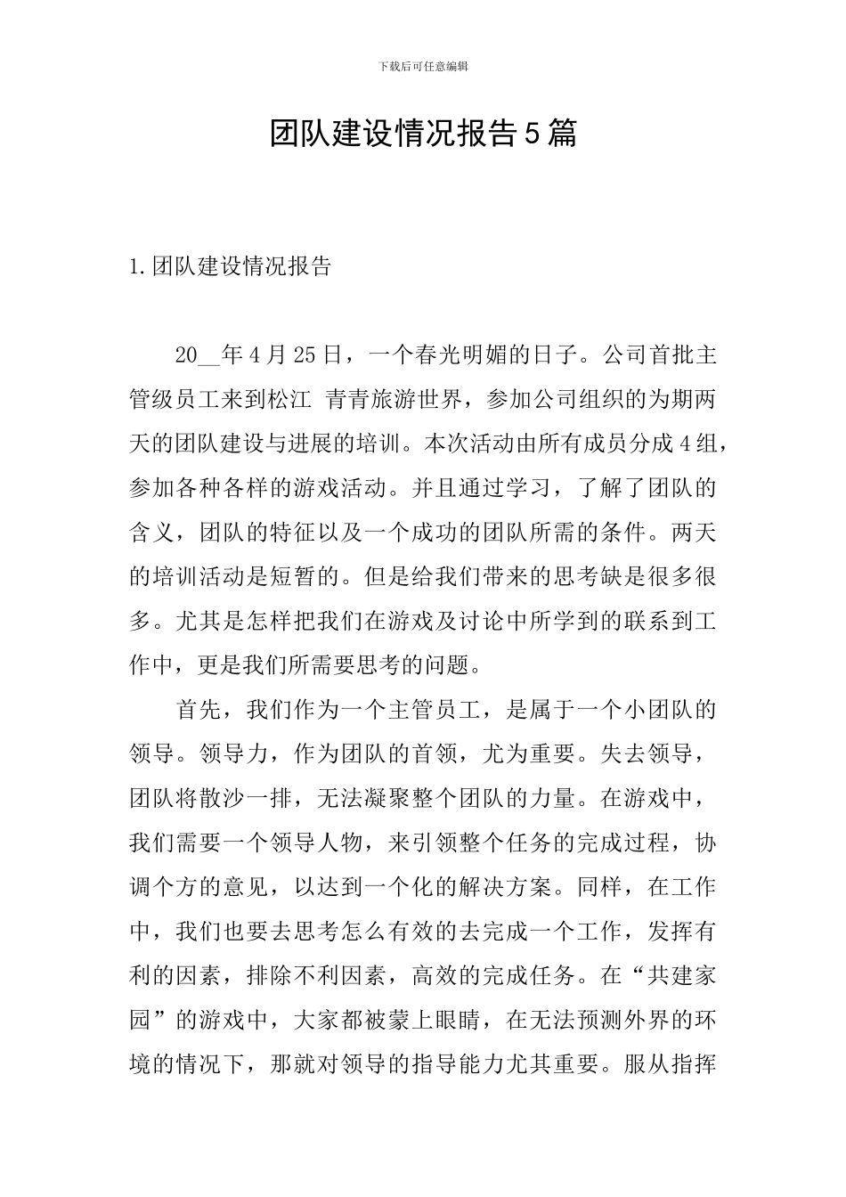 团队建设情况报告5篇_第1页