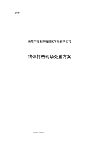 物体打击现场处置方案说明