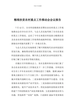 精准扶贫农村重点工作推进会会议报告