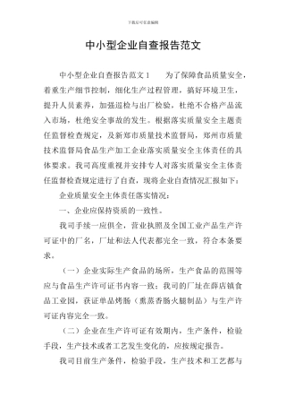 中小型企业自查报告范文