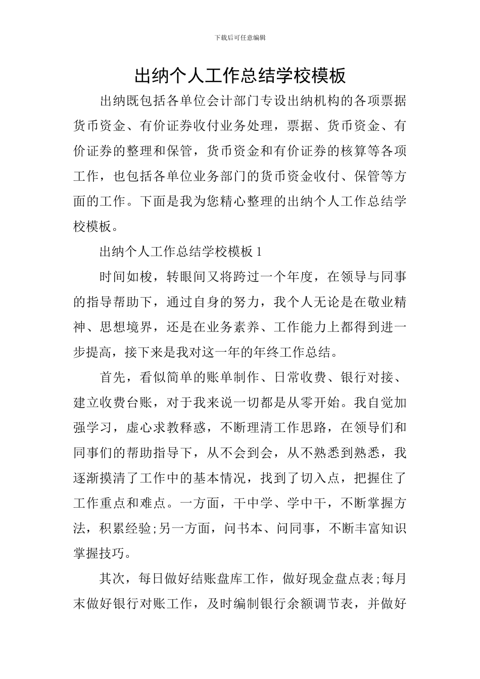 出纳个人工作总结学校模板_第1页
