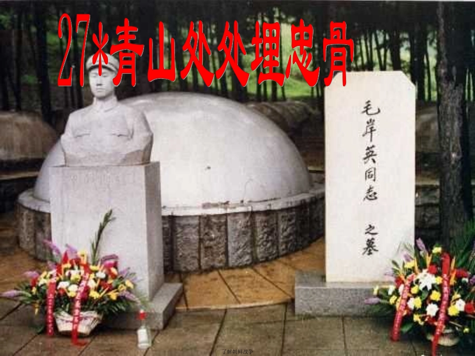 《青山处处埋忠骨》_第1页