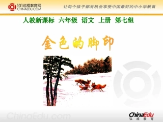 人教新课标版小学六上《金色的脚印》课件2