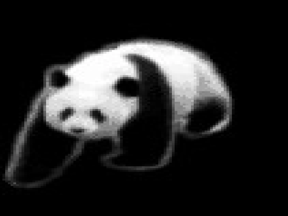 小学语文北师大版一年级下册《大熊猫》课件_第2页