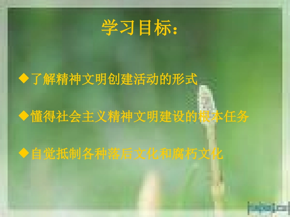 灿烂的文明之花_第2页