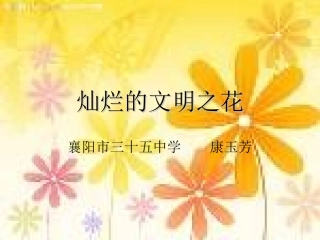 灿烂的文明之花