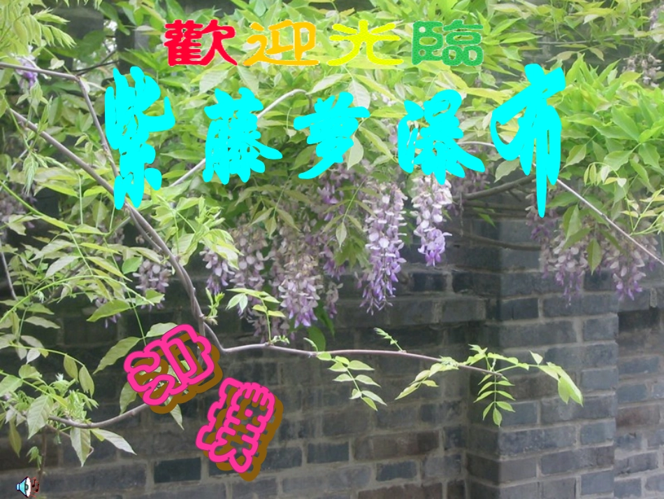 紫藤罗瀑布1_第2页