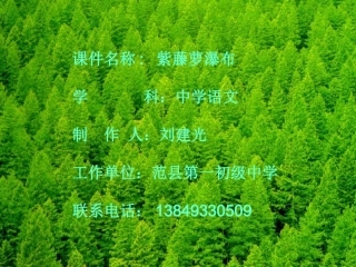 紫藤罗瀑布1