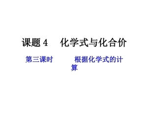 化学式与化合价计算
