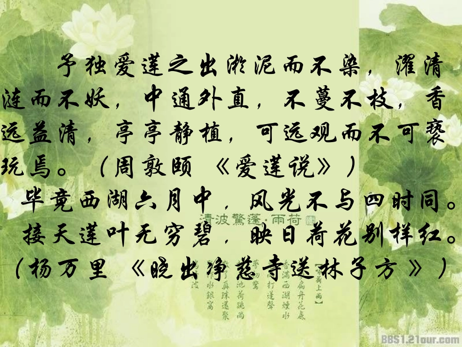 公开课课件荷塘月色_第2页