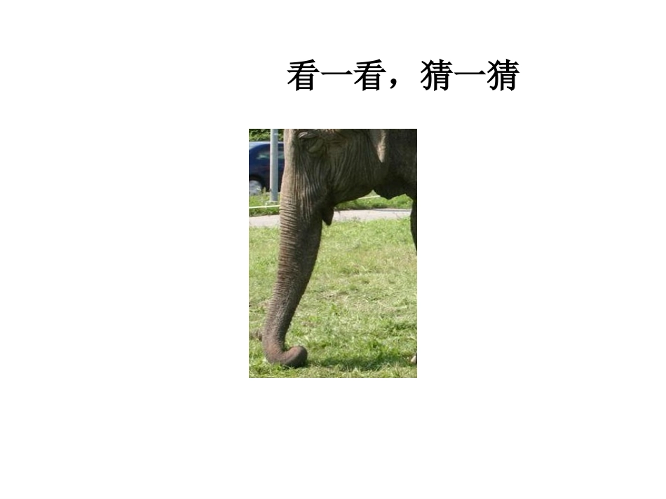 观察物体（二2班）_第2页