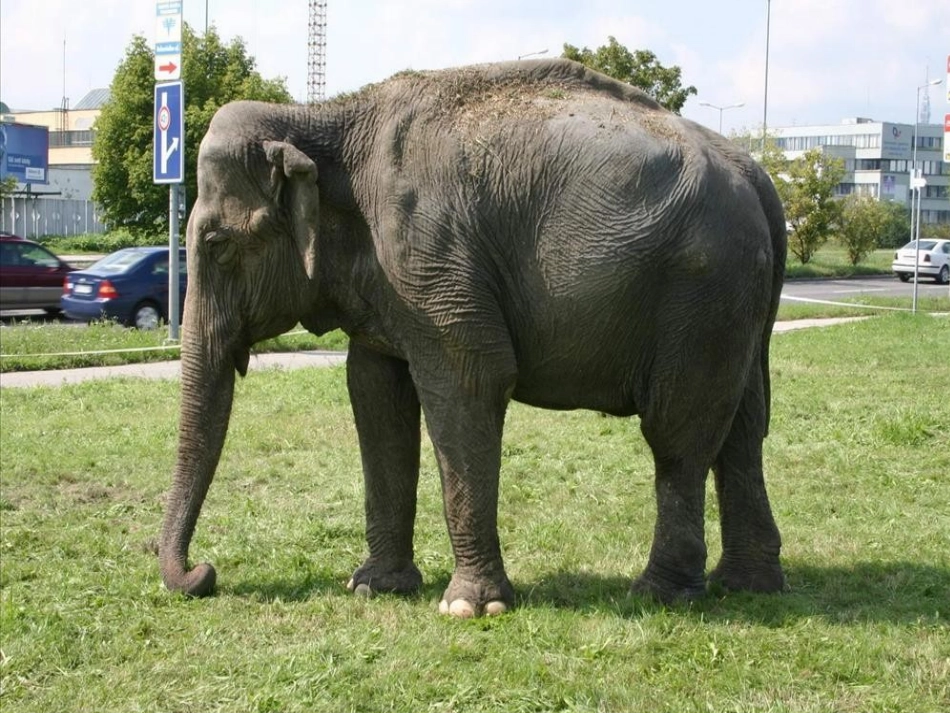 观察物体（二2班）_第3页