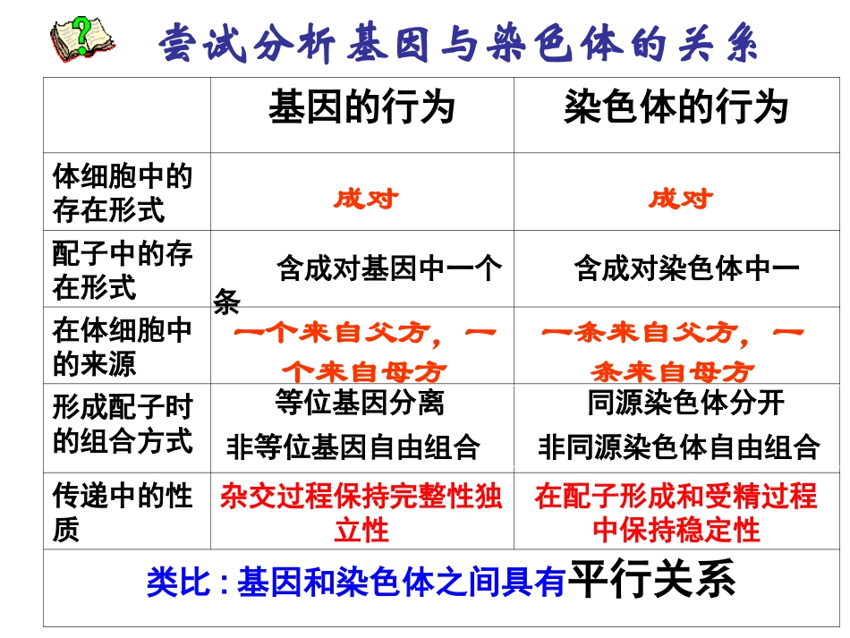 基因在染色体上_第3页