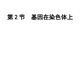 基因在染色体上