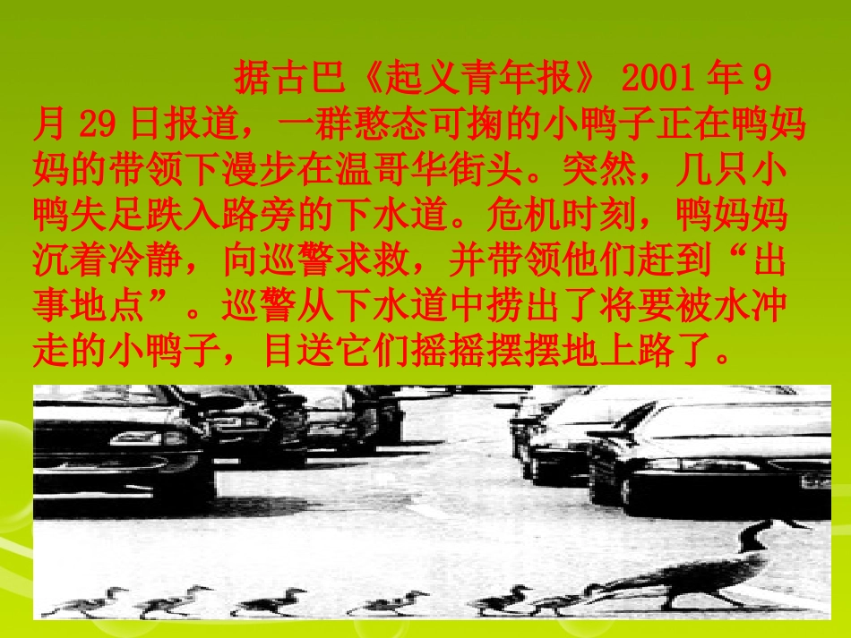 六年级上册语文第七单元习作_第3页