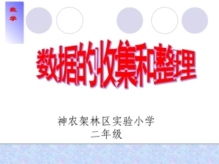 二年级（数据的收集和整理）