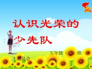 认识光荣的少先队主题队会课件