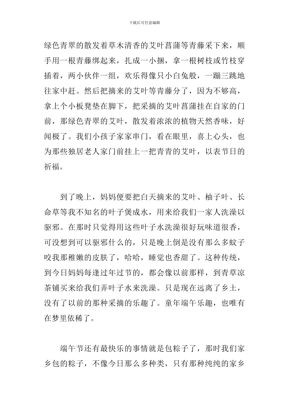 关于端午节作文题目范文5篇_第2页