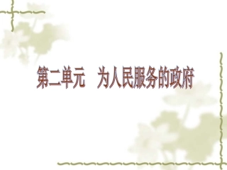 《政府的职能》课件（4）