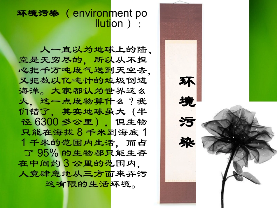 “创建国家森林城市_打造咸宁绿色家园”主题班会_第2页