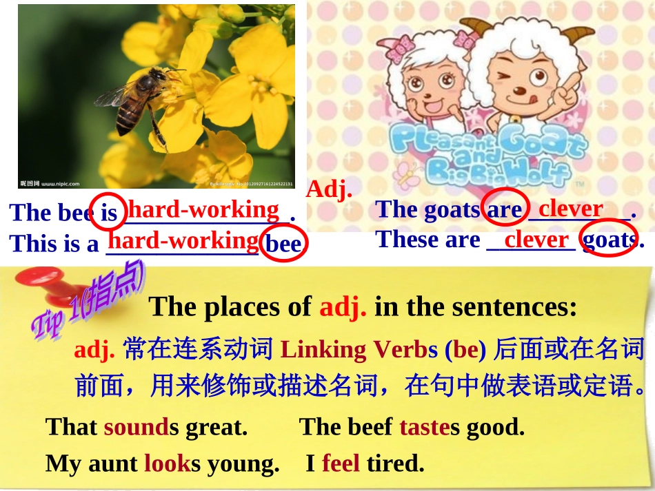 宜六中刘莉adjadv用法语法专题_第3页