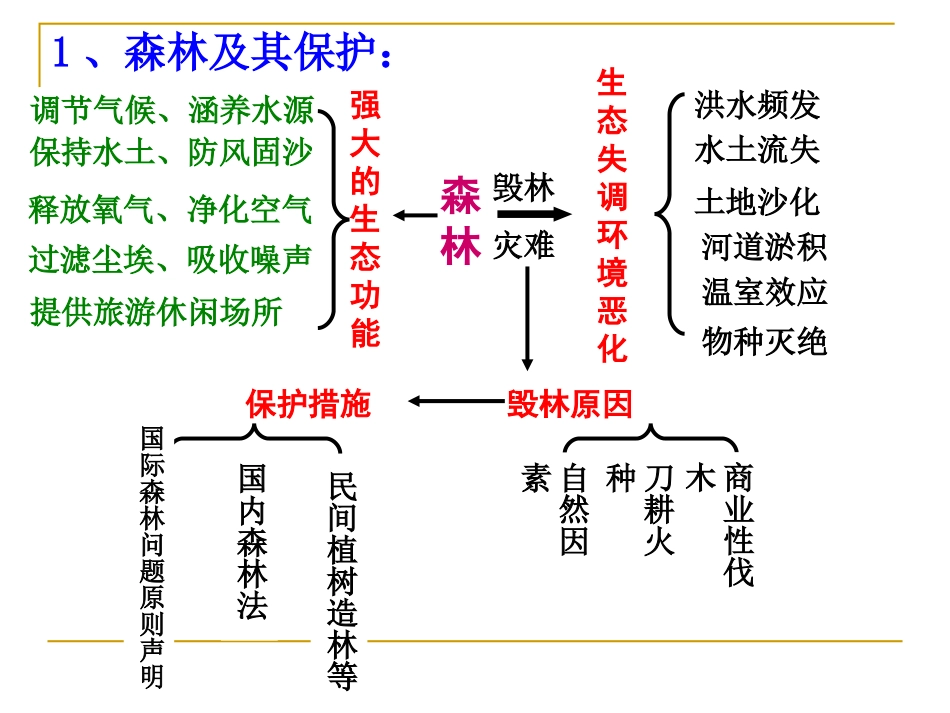 环境保护-专题4-生态破坏_第3页
