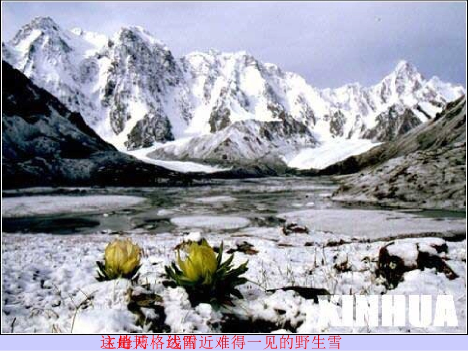 七月的天山课件_第3页