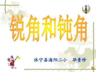 锐角和钝角 (2)