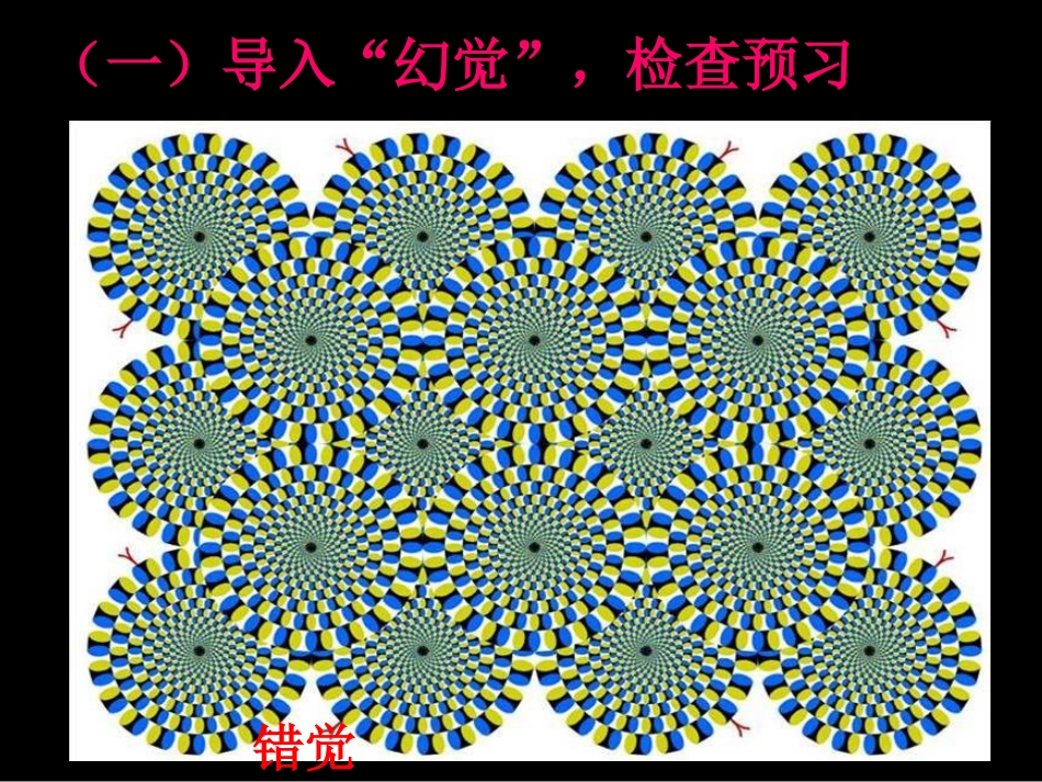 落日的幻觉黄天祥_第2页