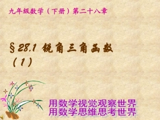 《锐角三角函数1》课件