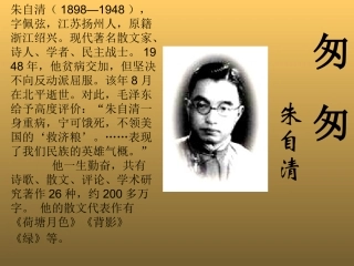 李敏《匆匆》PPT课件