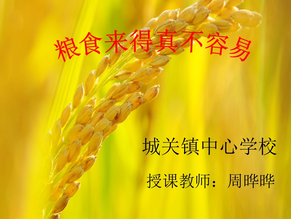 《粮食来得真不容易》课件_第1页