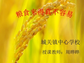 《粮食来得真不容易》课件