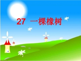 一棵橡树211