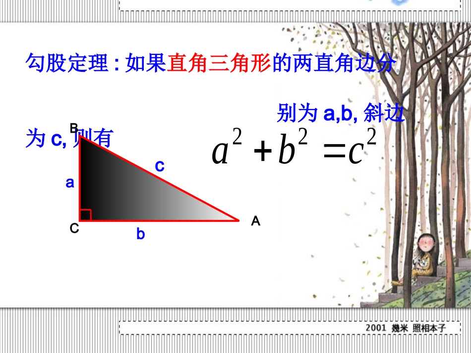 勾股定理复习 (2)_第2页