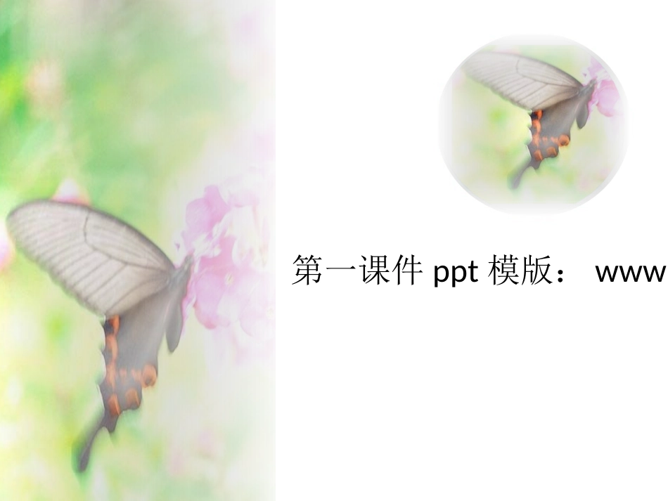 精美课件模板下载_第1页