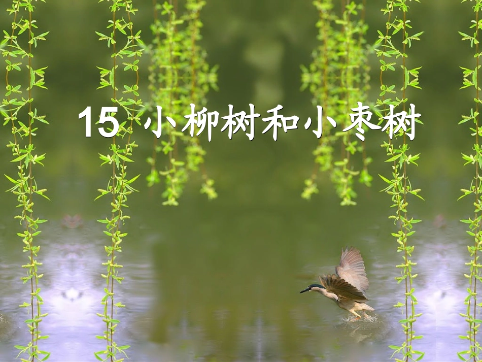 小柳树和小枣树的课件_第1页