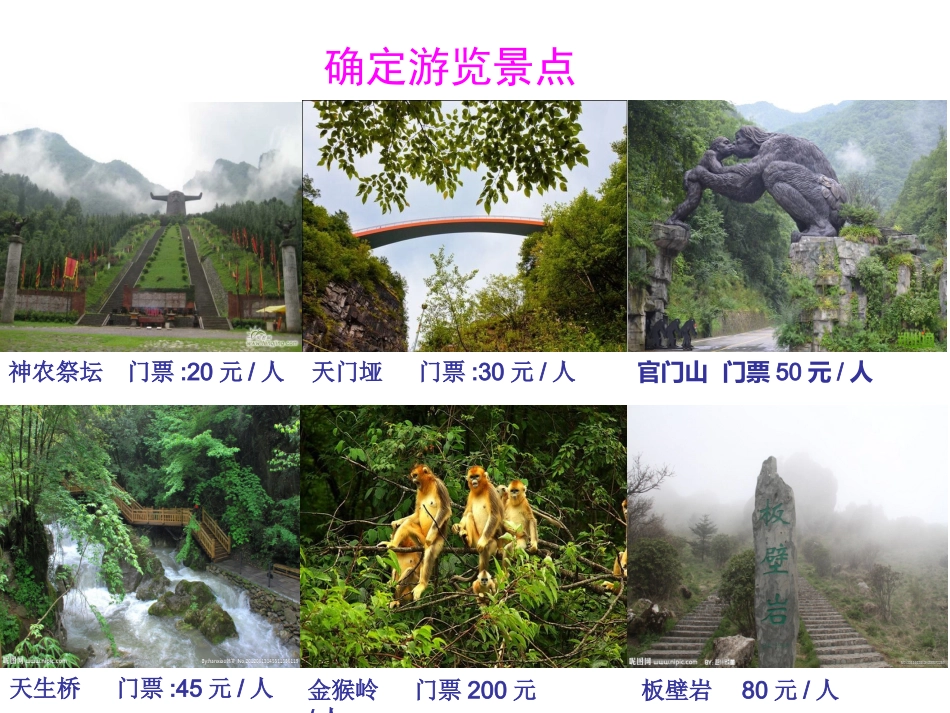 策划暑期夏令营_第3页