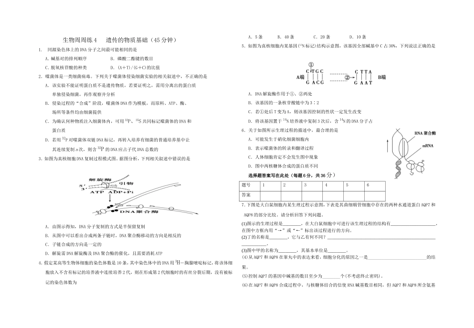周周练4遗传的物质基础_第1页