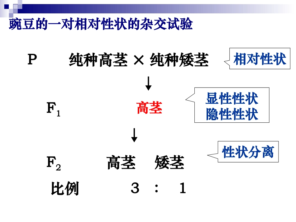遗传专题复习_第2页