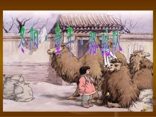 冬阳童年骆驼队 (2)