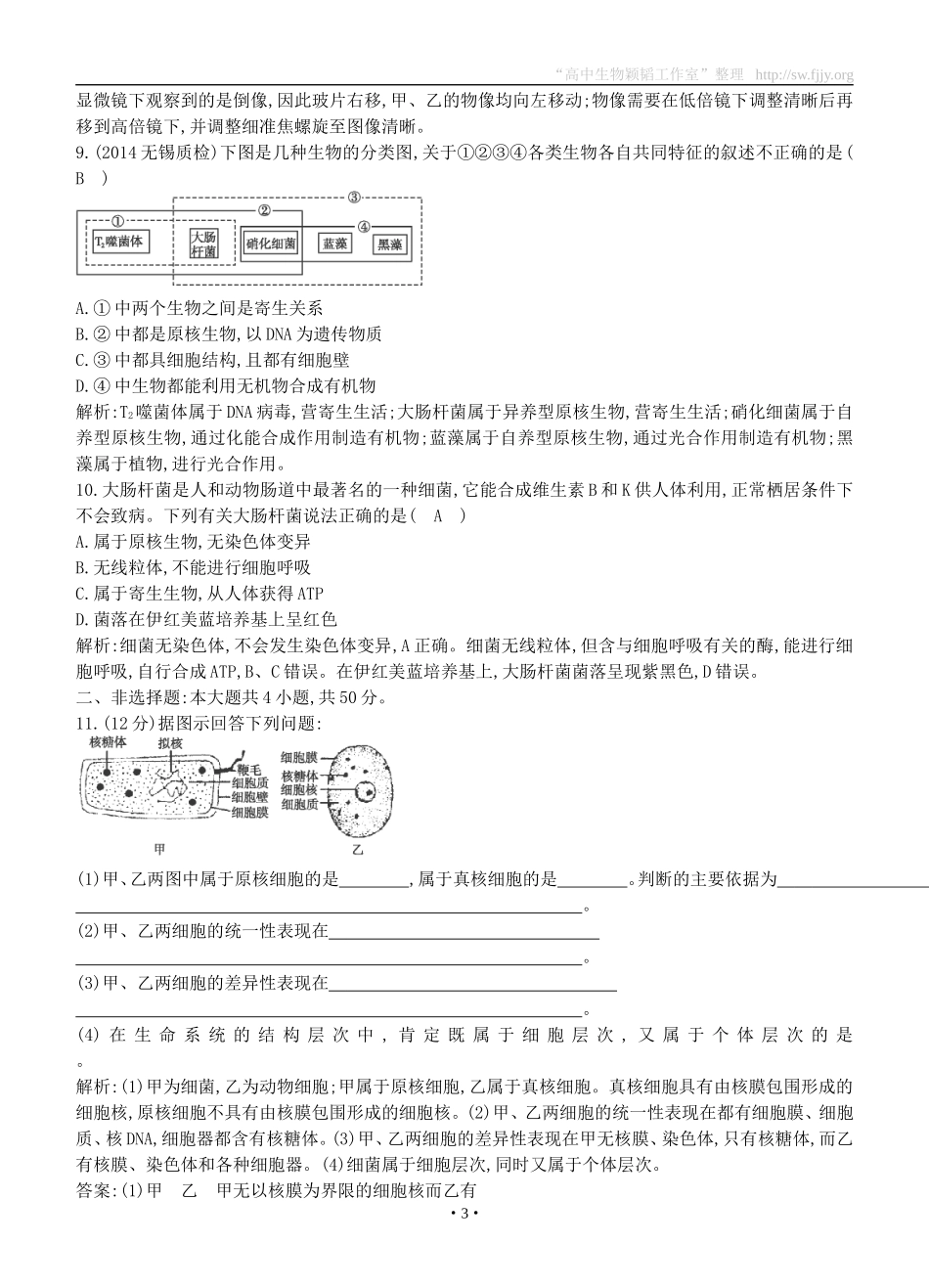 2015届高三生物总复习第一单元第1讲《走近细胞》课时训练（含解析）_第3页