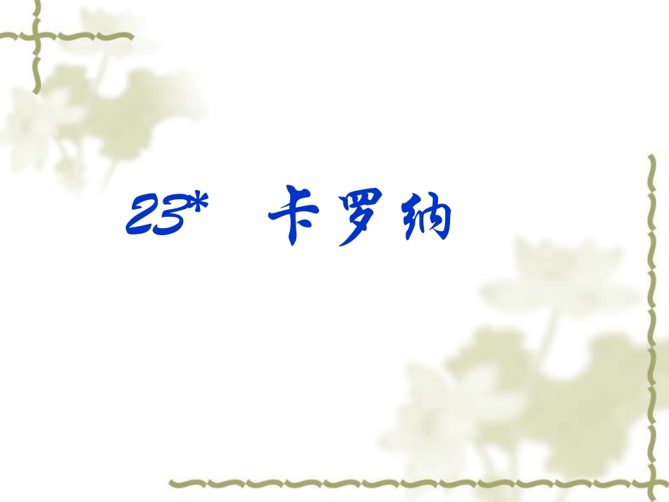 卡罗纳PPT_第1页