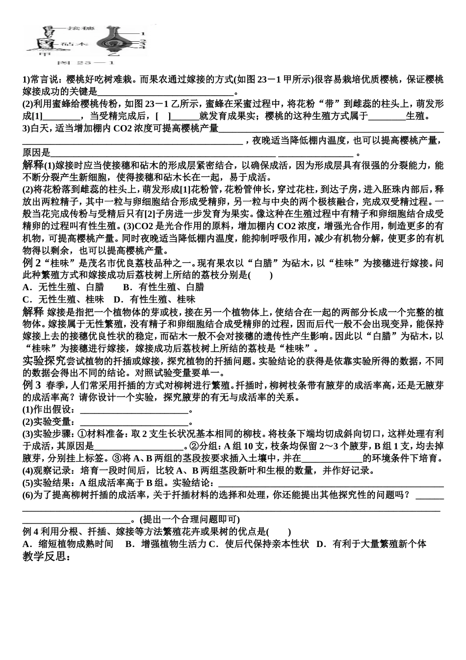 植物的生殖和发育_第2页