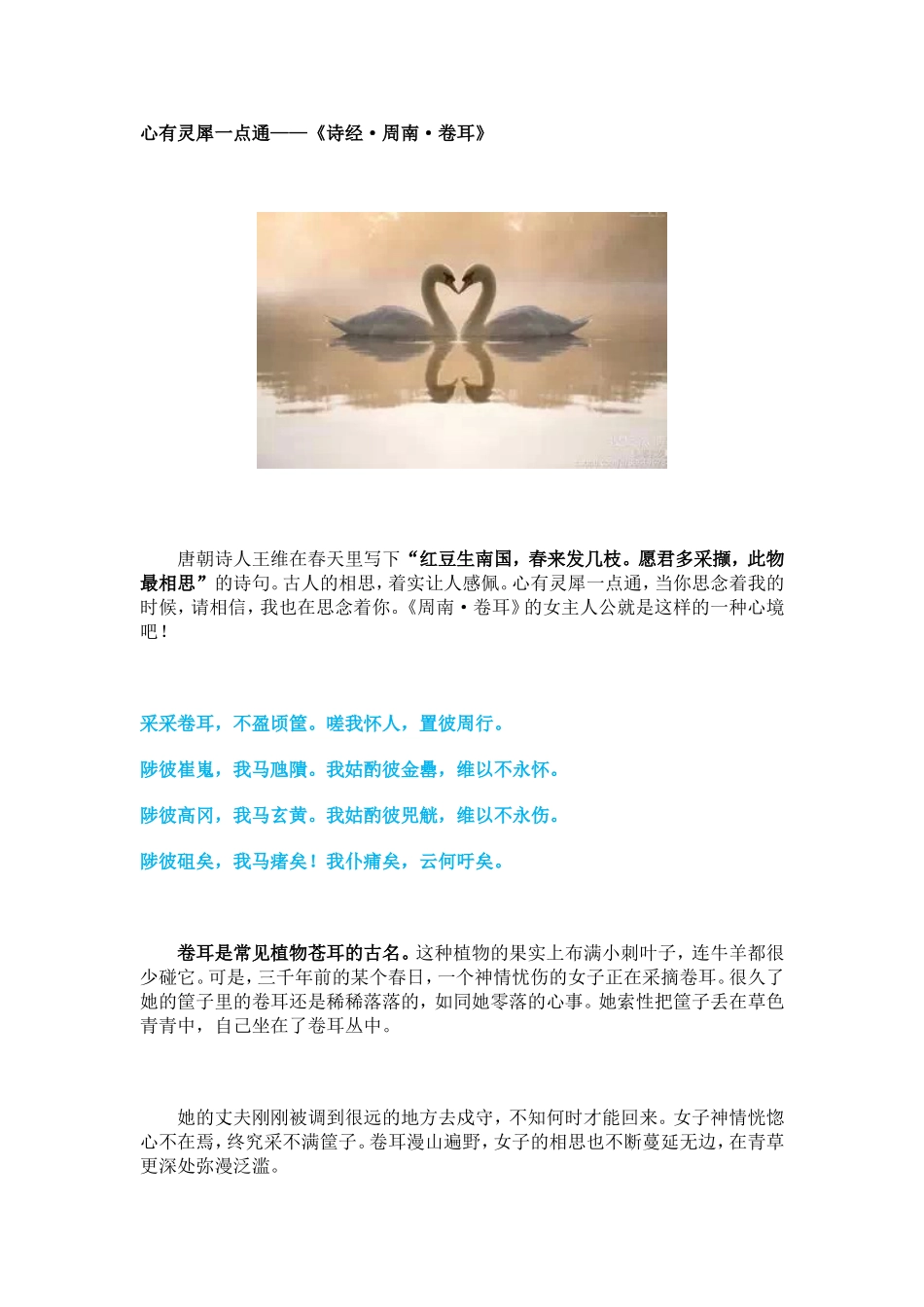 心有灵犀一点通——《诗经•周南•卷耳》_第1页