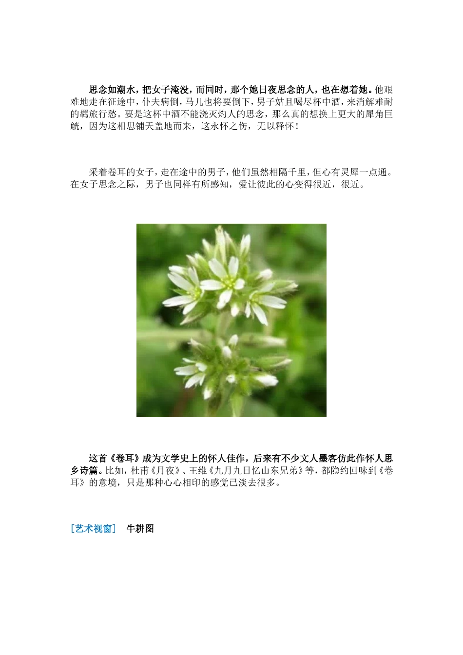 心有灵犀一点通——《诗经•周南•卷耳》_第2页