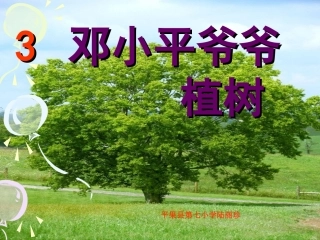 邓小平爷爷植树 (2)