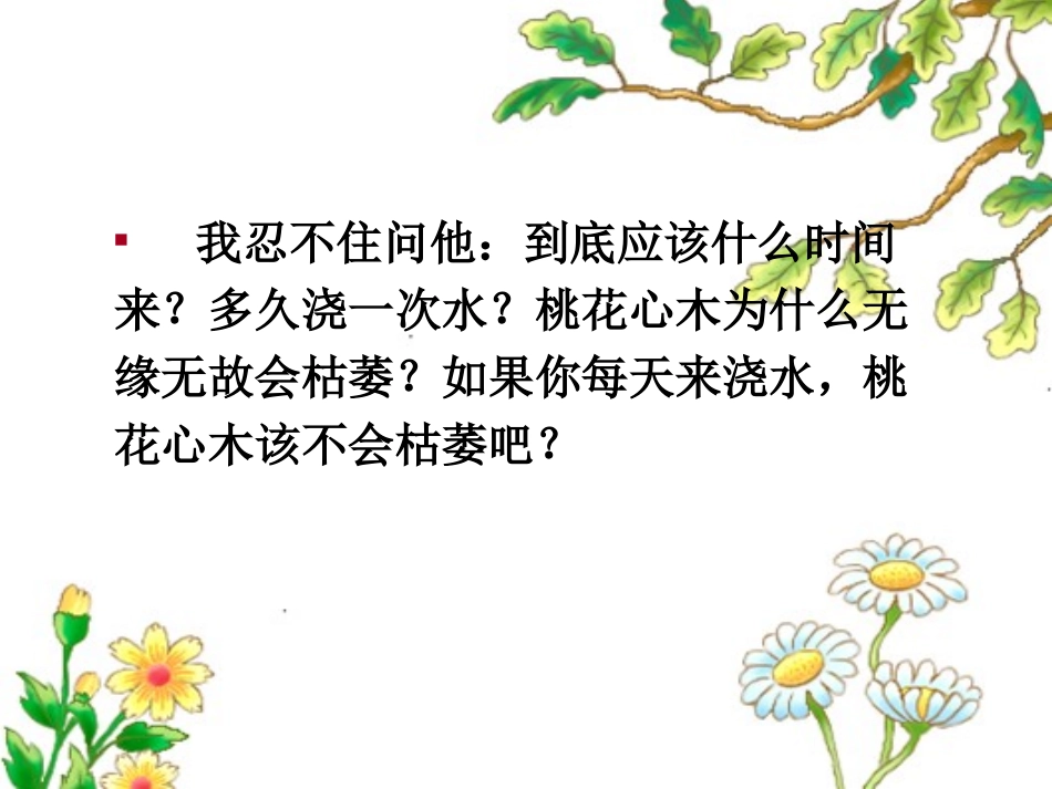 《桃花心木》_第2页
